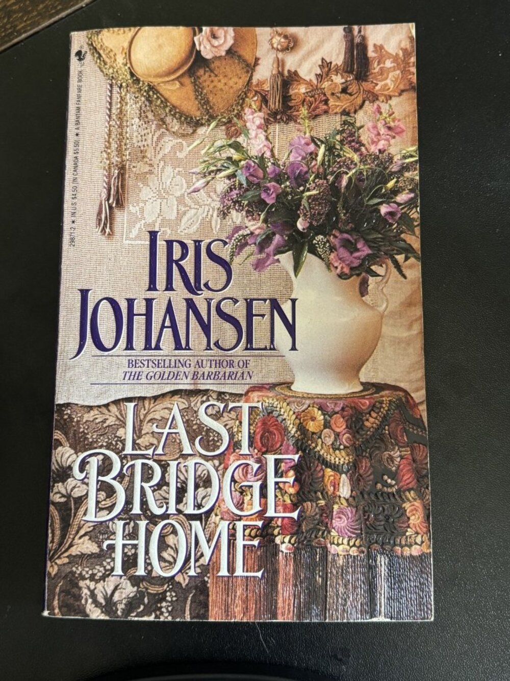 Last Bridge Home by Iris Johansen
